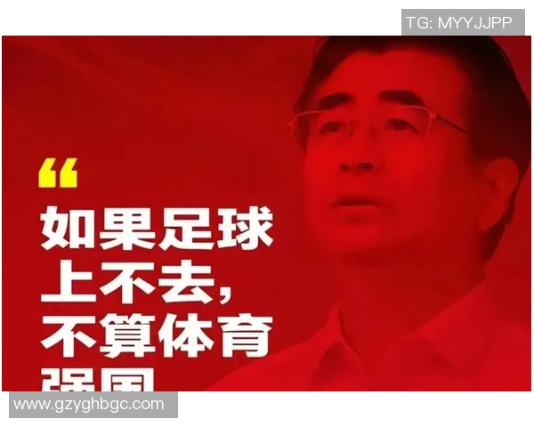 足球明星收入高的背后原因与社会影响分析