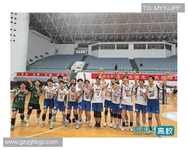 武汉排球队在排球意识排行榜中荣登第十名展现出强劲实力与潜力