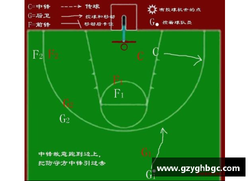 全面解析篮球球员分布与战术配置对比